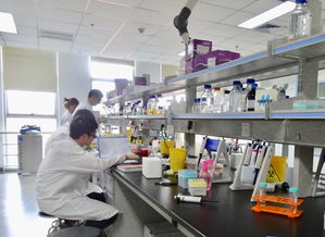 成都高新區力促生物科技創新實現 并跑 和 領跑